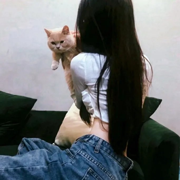 职业凶手